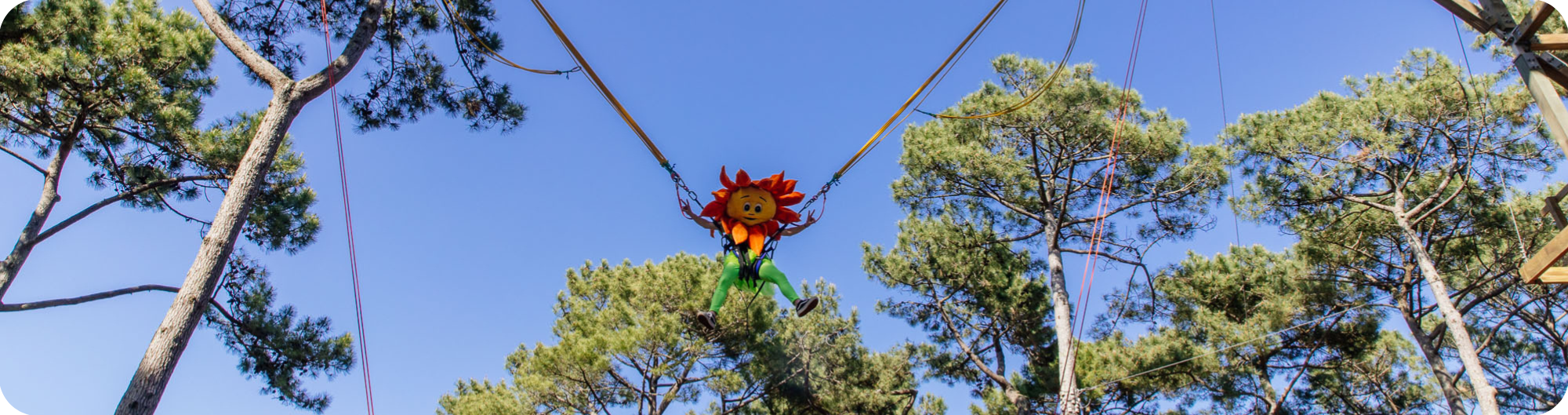 Activité en plein air pour un EVG à Biscarrosse