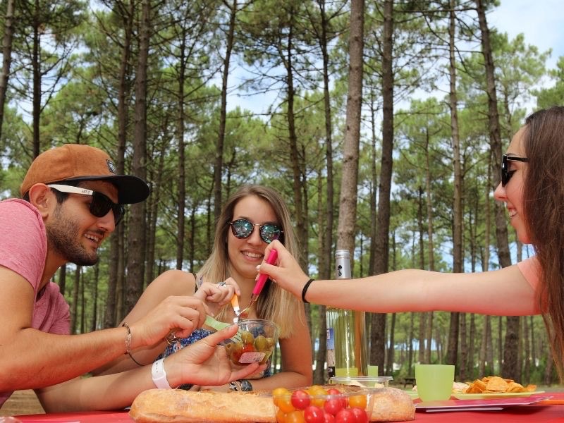 Pique Nique en forêt