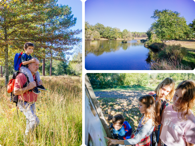 Un Terra Aventura en famille dans les Landes