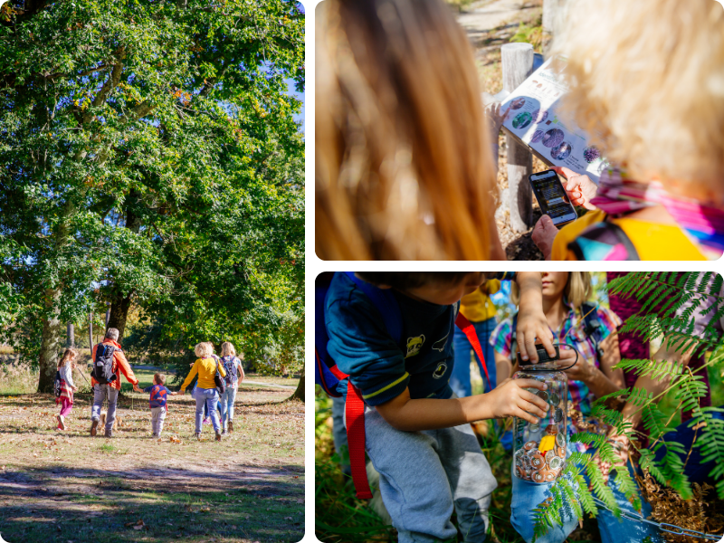 Balade avec Terra Aventura à Ychoux, dans les Landes