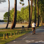 Vélo au bord du lac de Sanguinet Vélo au bord du lac de Sanguinet