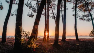 Coucher de soleil à Biscarrosse-Lac