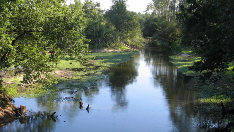 Courant de sainte eulalie dans les landes