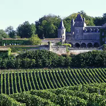 Weinbaugebiet von Bordeaux