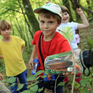 Geocaching à Biscarrosse et aux alentours