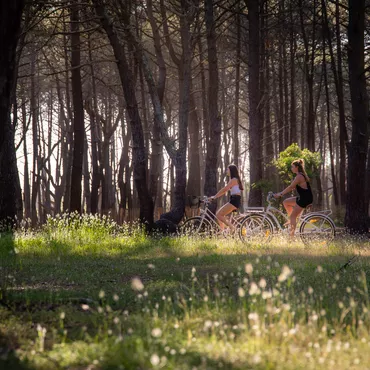 balade vélo dans les landes