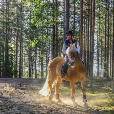 Wandern, Radfahren, Reiten