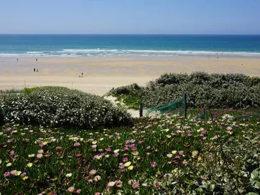 BISCARROSSE PLAGE - printemps - fleurs