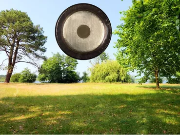 bain-sonore-gong-autres-instruments-lac-de-trappe-aout-2025