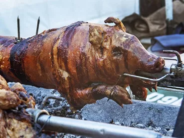 suckling-pig-3869602_1280