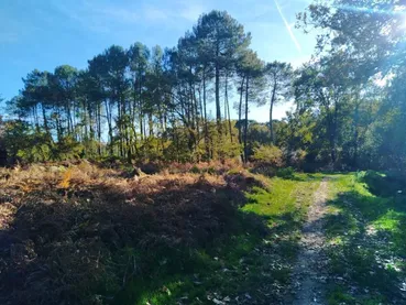 marche-et-respire-biscarrosse marche-et-respire-biscarrosse