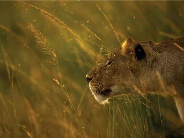 1764771119504-9ea145e5-1e0d-4d8b-8d72-f0fbf6be0850_20