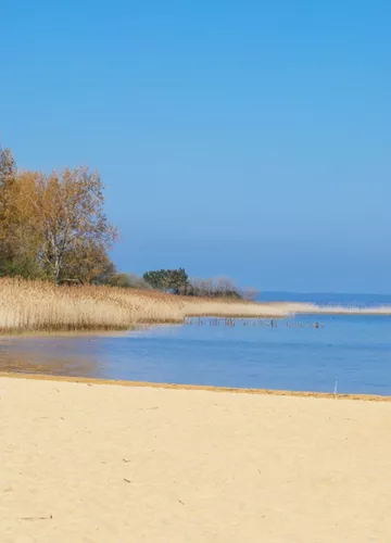 balade_plage_landes.jpg