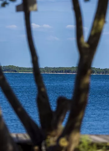 Das Seeviertel Biscarrosse-Lac