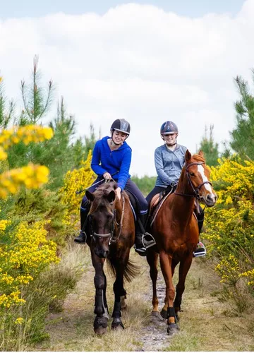 Equitation en foret