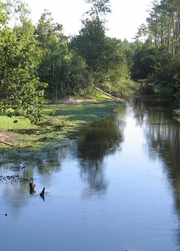 Courant de sainte eulalie dans les landes