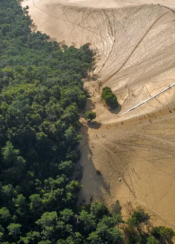 L'ascension de la dune du Pilat