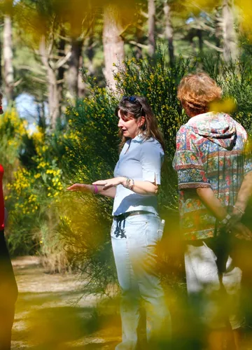 Visite en forêt avec un greeter