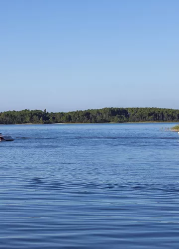 Le lac de Sanguinet