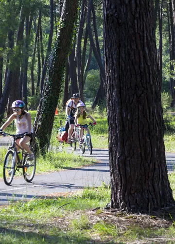 Balade vélo à Biscarrosse