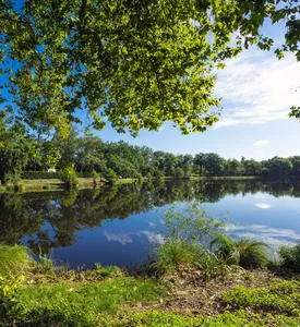 Urlaub ohne Auto in Biscarrosse & den Großen Seen