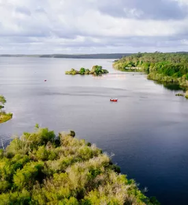 Drone ph bisca mai 2024-4
