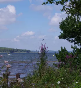 balade-nature-entre-lac-et-marais-©c.kwasniewski-2