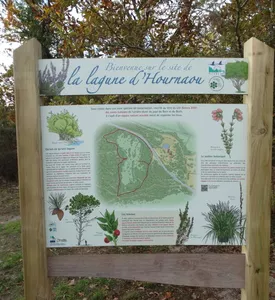 lagune d'Hournaou