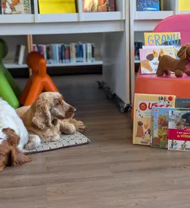 489625413_1079411037328779_513374990444393244_n