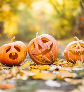 citrouilles-halloween