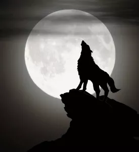 loup garou