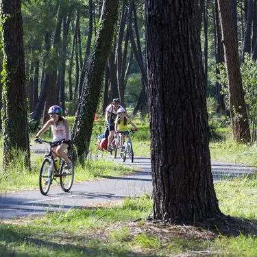Balade vélo à Biscarrosse Balade vélo à Biscarrosse