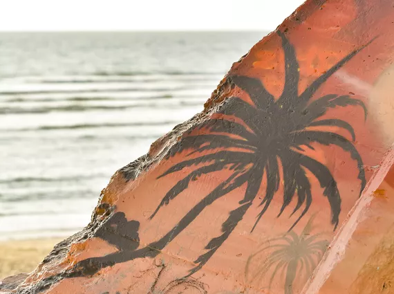 surf-bisca