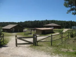 ranch 2"