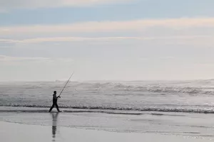 surfcasting-peche-bisca