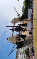 Les Hérons des Lacs danse3