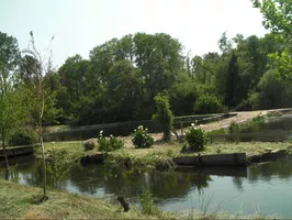 Pêche à la truite-parentis-env