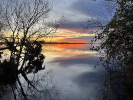 Cognacq lac de Sanguinet