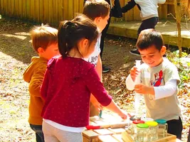 les-ruchers-du-born-animations