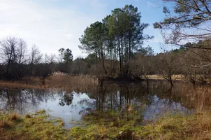 Balade nature - Printemps sur la lagune Balade nature - Printemps sur la lagune