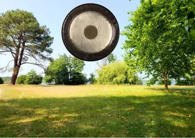 bain-sonore-gong-autres-instruments-lac-de-trappe-aout-2025