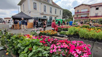 50 nuances de Jardins - Marché aux plants, graines et arbustes 50 nuances de Jardins - Marché aux plants, graines et arbustes