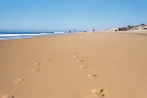 Nettoyons la plage Nettoyons la plage
