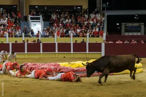 Croque-vaches