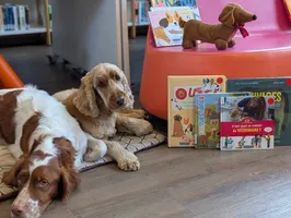 Lire avec les chiens Lire avec les chiens