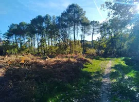 marche-et-respire-biscarrosse