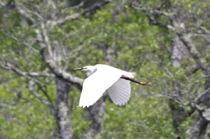 ©Catherine Kwasniewski (3)