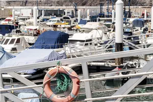 Journée du nautisme d'occasion