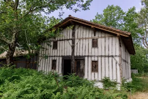 1-gemmage-bisca-grands-lacs-les-conteurs-59