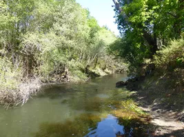 Balade nature, entre courant et forêt